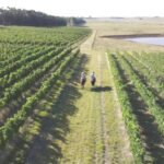 sector agroalimentario