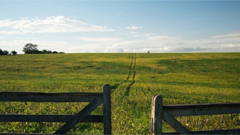 secteur agroalimentaire