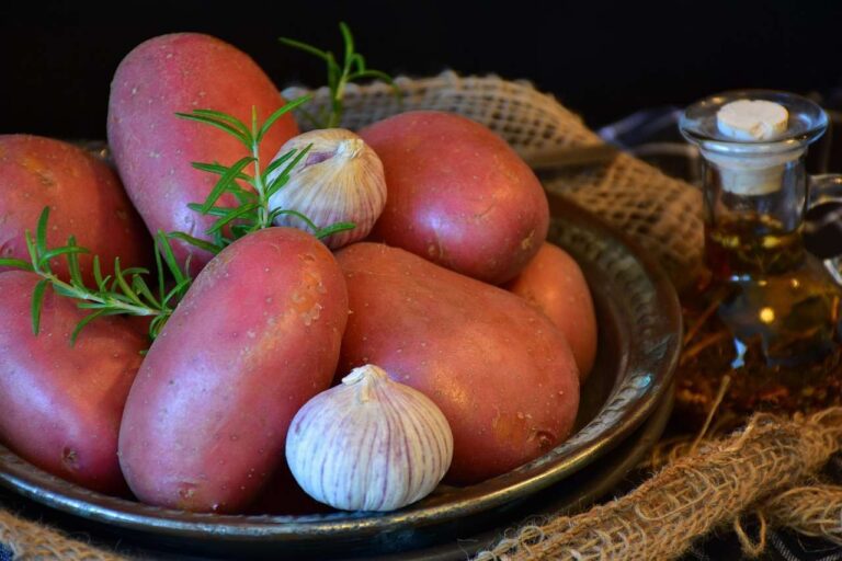 pomme de terre rouge