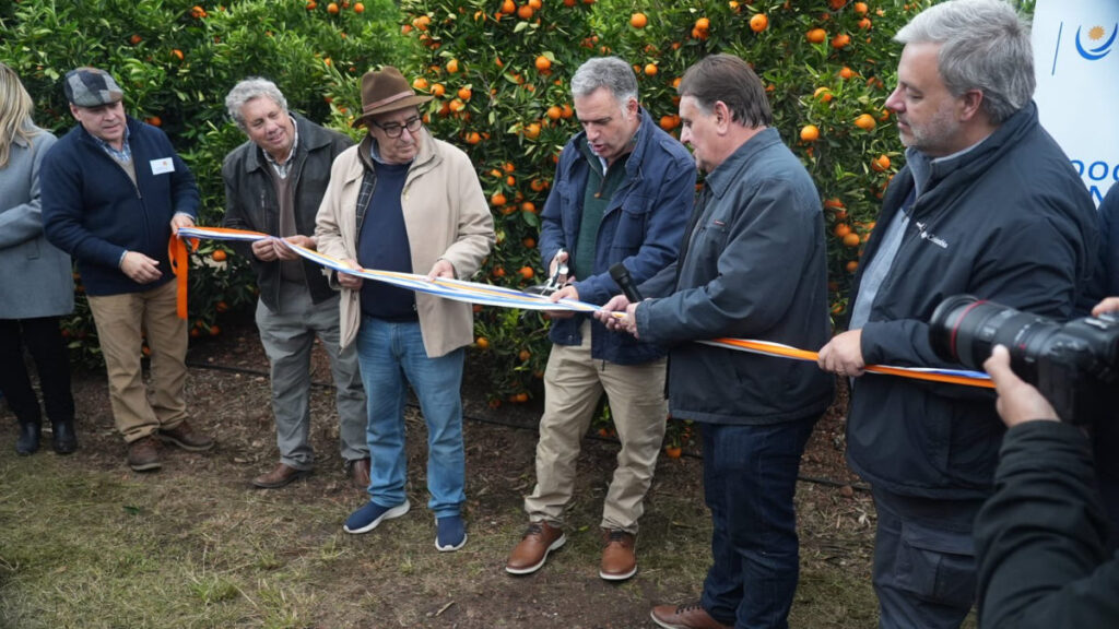 Zafra Citrícola 2025