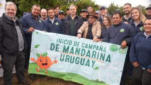 Zafra Citrícola 2025